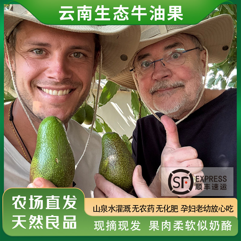 云南大理生态牛油果大果现摘发国产营养早餐干物质高即食辅食顺丰,水产肉类/新鲜蔬果/熟食,牛油果,淘宝优惠券,粉丝福利购,淘宝优惠卷