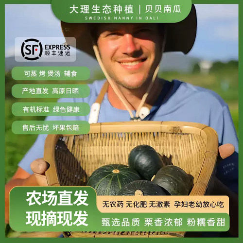 贝贝南瓜生态辅食粉糯甜现摘顺丰