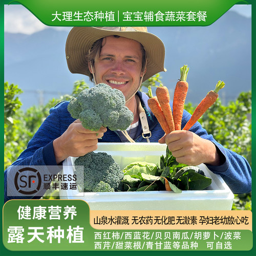 蔬菜套餐宝宝辅食现摘发当季搭配