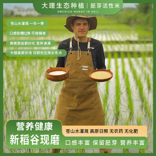 胚芽米生态种植辅食软糯白米顺丰