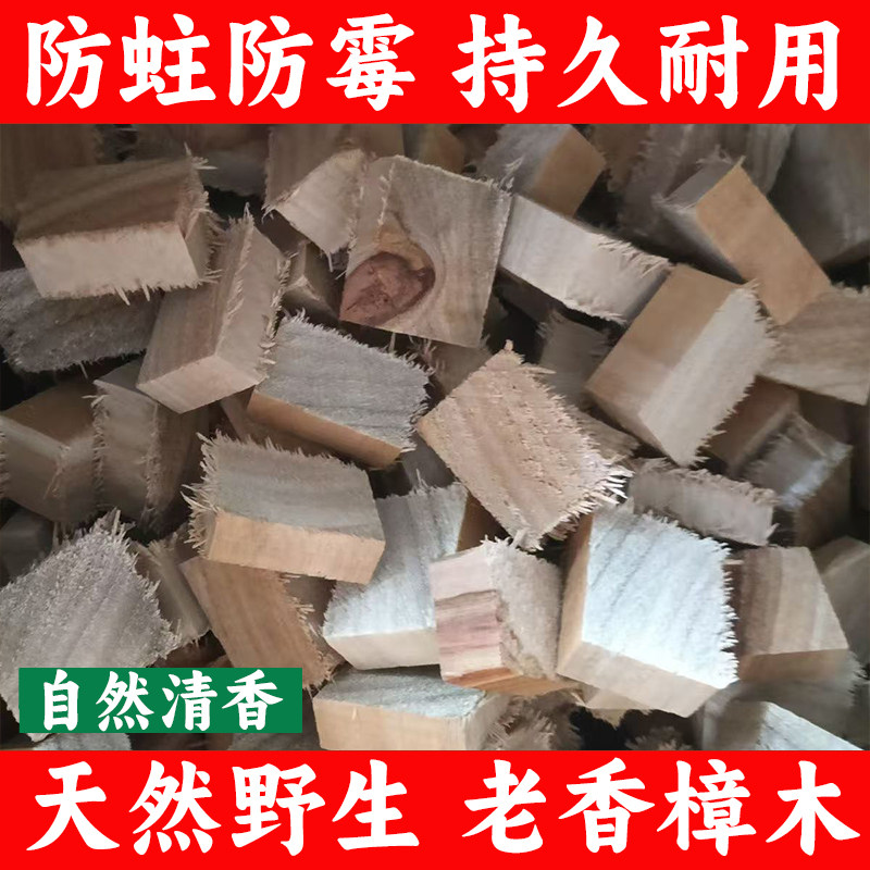 正宗香樟木块【源头批发】