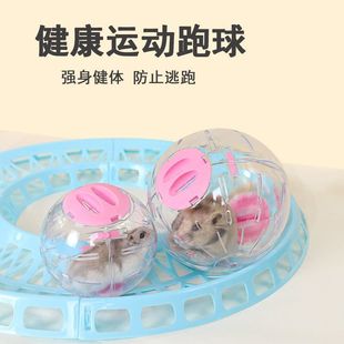小仓鼠跑球户外运动玩具滚球金丝熊透明跑步球花枝鼠跑轮球笼用品