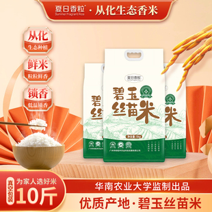 碧玉丝苗米袋装 当季新米从化长粒香广东5kg大米
