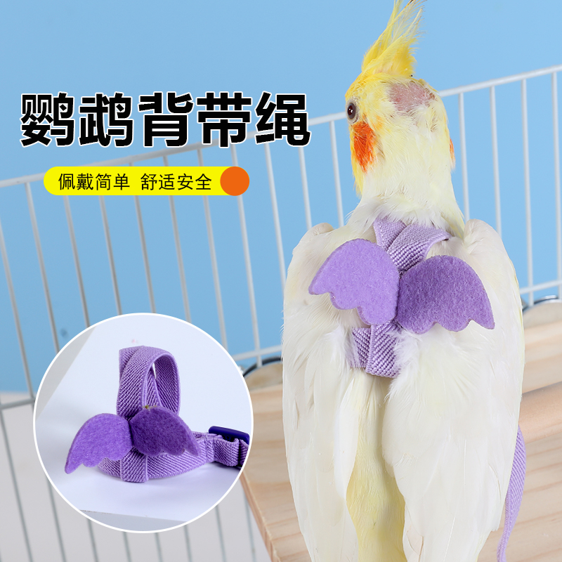 鸟用鹦鹉放飞绳玄凤虎皮牡丹牵引绳飞行外出背带遛鸟神器用品玩具