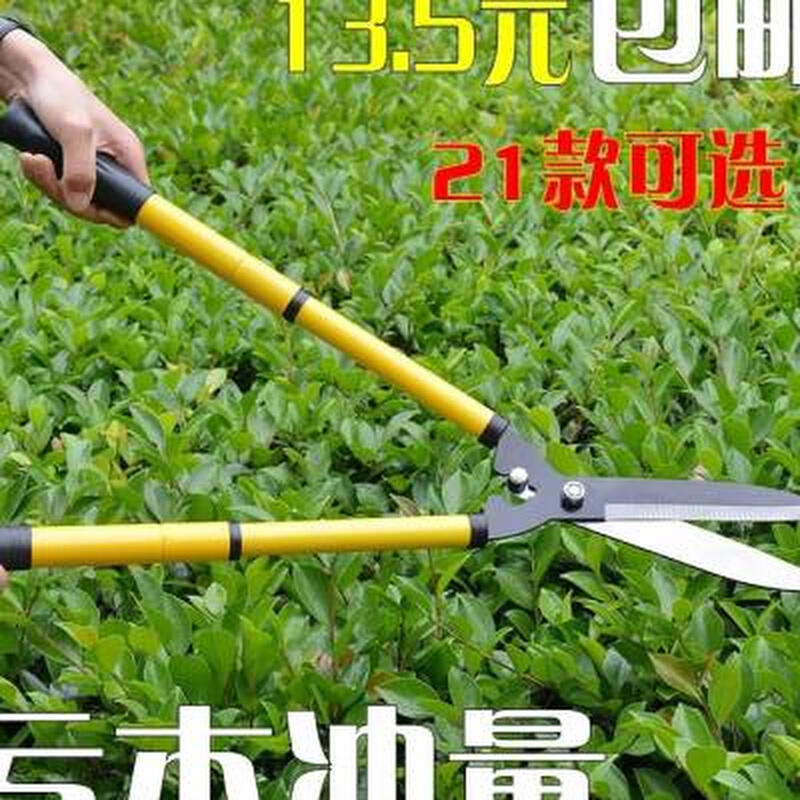 剪家用花木花树不锈钢园林修剪刀修枝剪特大绿化草坪粗修大钢大号