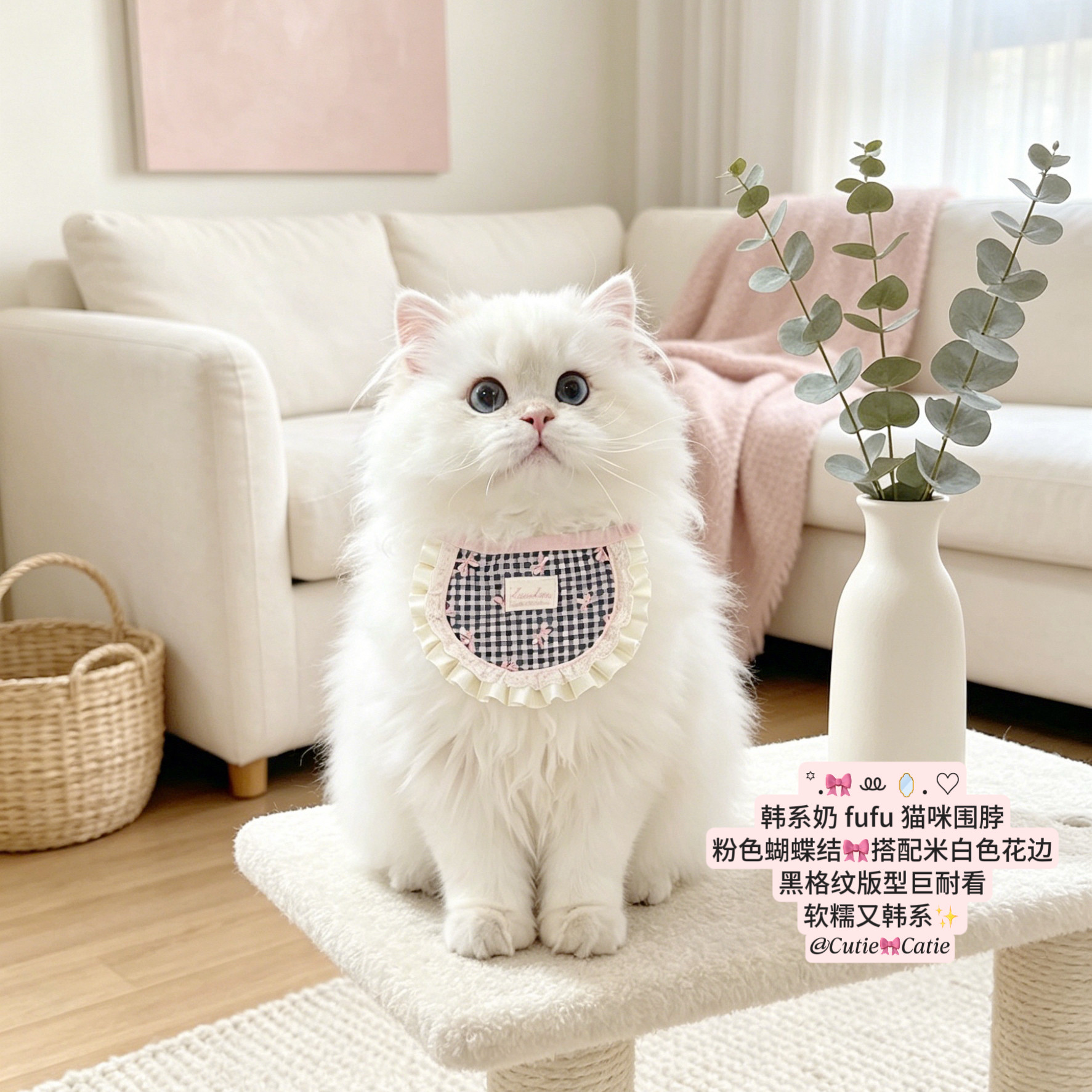 猫咪项圈可调节小猫围脖项链可爱粉色一只甜喵项圈口水巾猫围兜