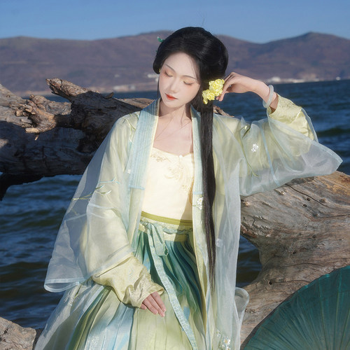 【春和】风疏柳影 宋制汉服  长褙子绣花长衫 吊带 百褶裙