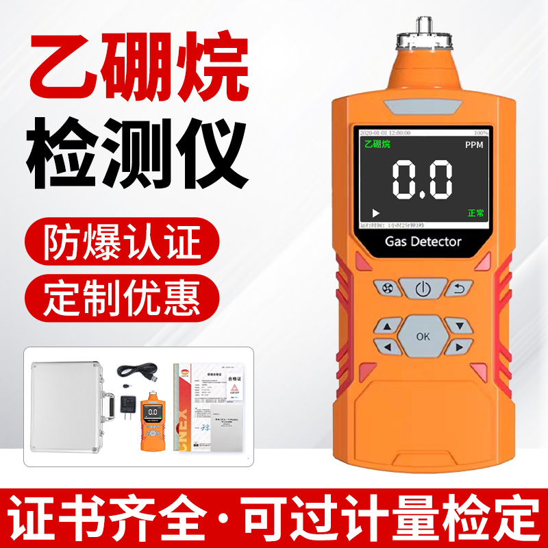 乙硼烷气体检测仪高精度防尘防爆便携有毒有害气体泄漏浓度报警器