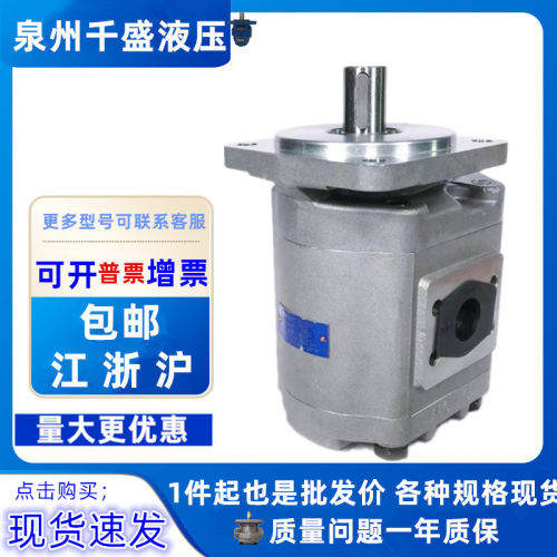 合肥赛源长源款液压齿轮马达CMGh2025 2032 2040 2050 2063-BFФS