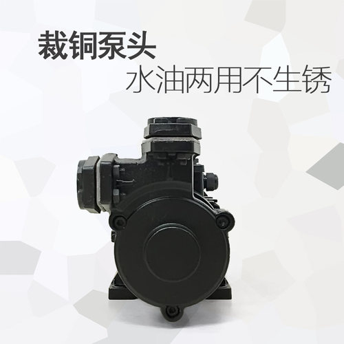 高温导热油循环泵热油泵380v三相TS-63 71 80 100模温机水泵TSR90