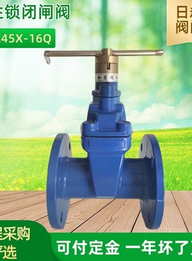 磁性锁闭表前闸阀SZ45X法兰防盗机械锁闭闸阀农田灌溉给排水阀门