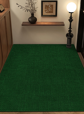 玄关大块整铺地毯圈绒绿色入户门进门垫防滑耐脏轻奢蹭土脚垫定制