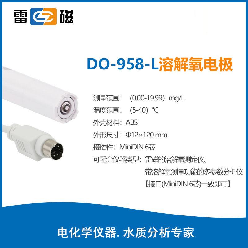 上海溶解氧电极DO-957/952/958-Q/960配JPB-607/607A实验室