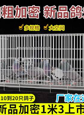 不锈钢鸽子笼养殖笼大室外二层鸟笼大全大空间鸽子笼子特大专用