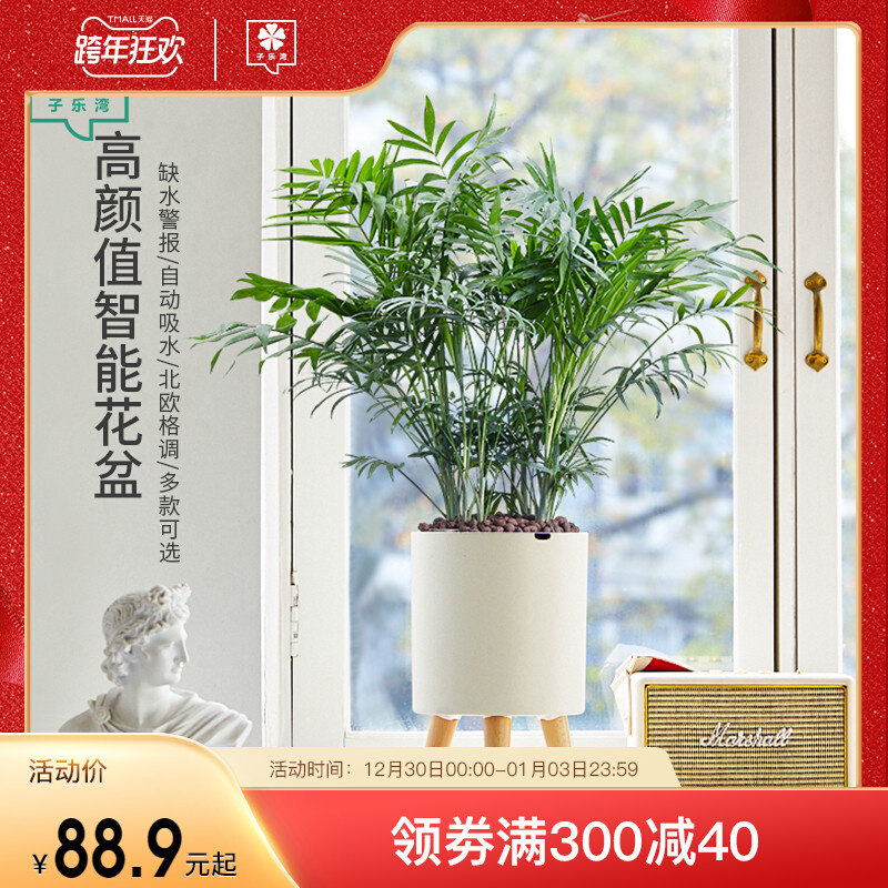 子乐湾懒人智能绿植盆栽绿萝发财树室内花卉红掌吸甲醛好养植物