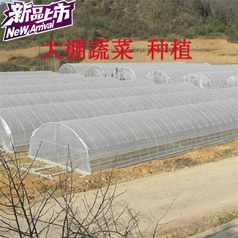 无滴大棚膜多肉棚薄膜绿r植塑料袋透明多款式温室塑料纸塑0料布植