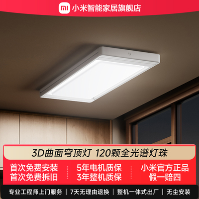 小米米家智能晾衣机2Pro电动晾衣架隐形升降折叠3D曲面穹顶灯