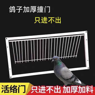 撞门只进不出鸽具加密活络门活动门自动撞门鸽子跳笼配件赛鸽用品