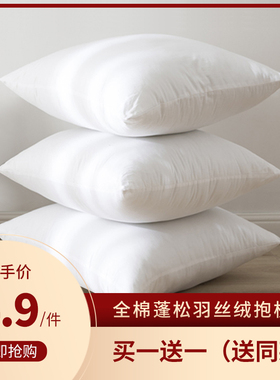 羽丝绒磨毛防羽布抱枕芯沙发靠枕靠垫芯455060方形抱枕套圆形枕芯