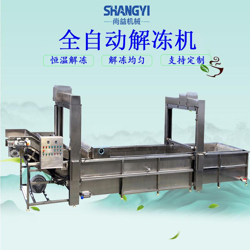 牛肉冻品浸泡化冻机冷冻牛排解冻设备肉制品解冻去血水设备