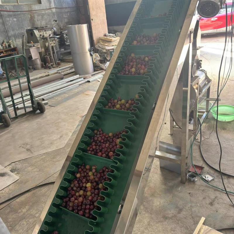 500型商用水果榨汁机 大容量挤压榨汁机 多功能水果榨汁机厂家