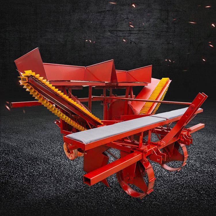 韭菜葱苗移植机菊花红葱后置移栽机2行栽苗机