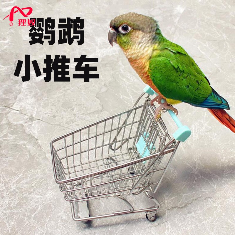 狸奴鹦鹉鸟互动训练益智小手推车