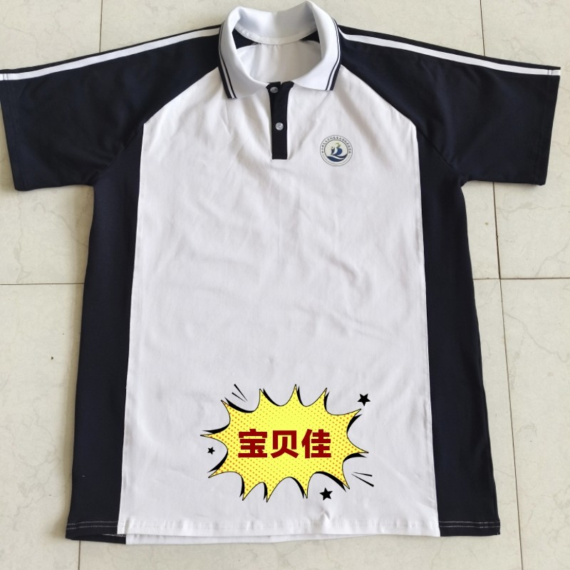 定制华东师范大学附属宝山宝杨实验学校同款短袖校服POLO衫