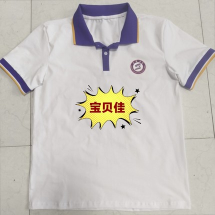 定制纯棉白色善国中学同款短袖校服POLO衫