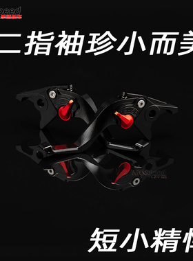 适用凯旋Speed Triple1200RS RR 改装二指竞技刹车牛角车把拉杆