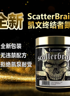 KEVIN LEVRONE Scatterbrain凯文莱弗龙终结者氮泵力量爆发力新款