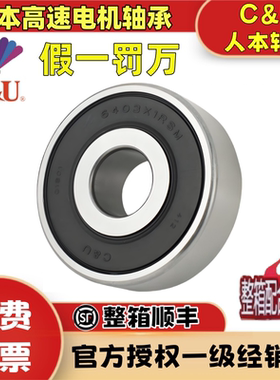 人本非标轴承60/22 60/28 62/22 62/28 63/22 63/28 63/32-2RZ/P5