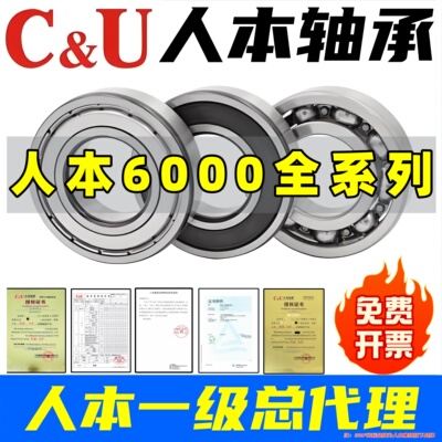 人本轴承6000 6001 6002 6003 6004 6005 6006 6007 6008高速轴承