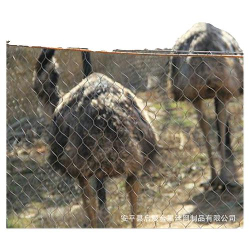 动物笼舍网装饰钢丝绳网不锈钢绳网O防坠网柔性卡扣钢丝绳编织网