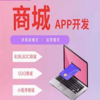 智慧门店微信小程序APP定制同城拓客营销直播推广商城系统开发