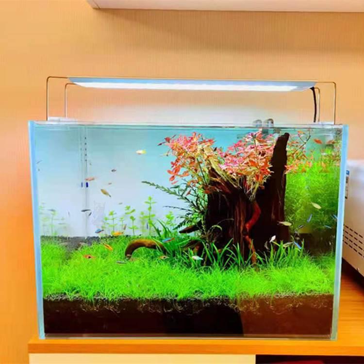 树桩沉木南美缸沉木鱼缸造景森林造景生命之树沉木骨架树桩空心树