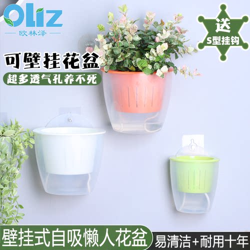可挂逼高端室内懒人花盆