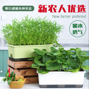欧林泽自吸水阳台专用蔬菜种菜盆家用花盆神器长方形树脂种植箱