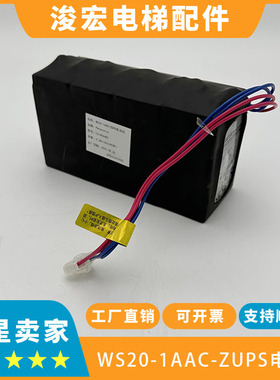 原装东芝应急电池WS20-1BAC-ZUPS WS20-1AAC-ZUPS WS20-2AAC正品
