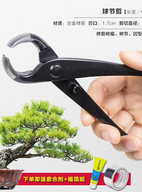 球节剪盆景修枝剪斜口球形剪破杆钳园艺专用造型制作工具套装中号