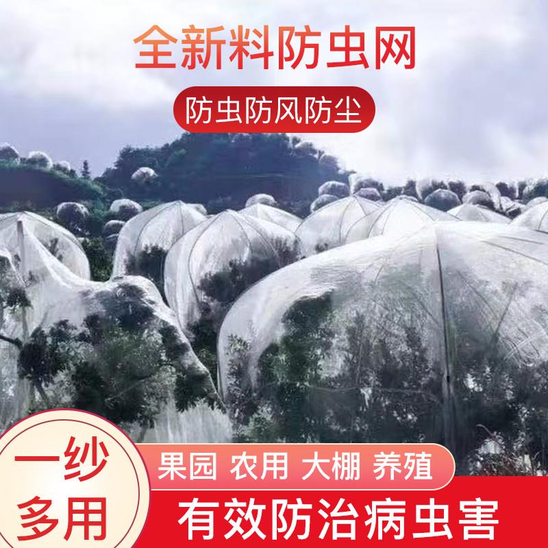 果树防虫网大棚杨梅樱桃防虫防鸟网罩多肉莲雾桃树罗幔农用防护罩