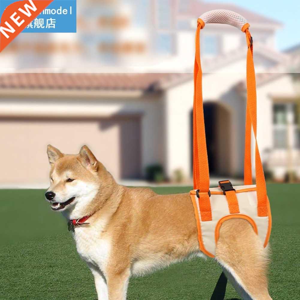 Pet Dog Hind Leg Auxiliary Belt Disabled Dog Postoperative R - 实物图
