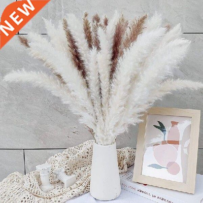 Pack Of 60 Pampas Grass Dried Decorations Dried Flowers 55