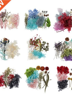 Natural Dried Flowers For Resin Epoxy Crafts Card Makin