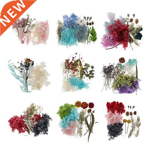 Natural Dried Flowers For Resin Epoxy Crafts Card Makin