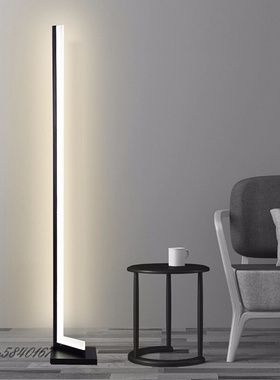 Modern Minimalist Floor Lamp LED Floor Lights Lighting for L