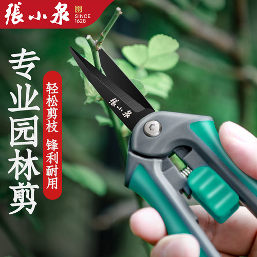 张小泉园艺剪刀剪树枝修果树神器