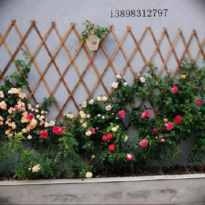 造景实木花墙木篱笆格栅室外网格木定做壁挂式爬藤架围挡装饰餐厅