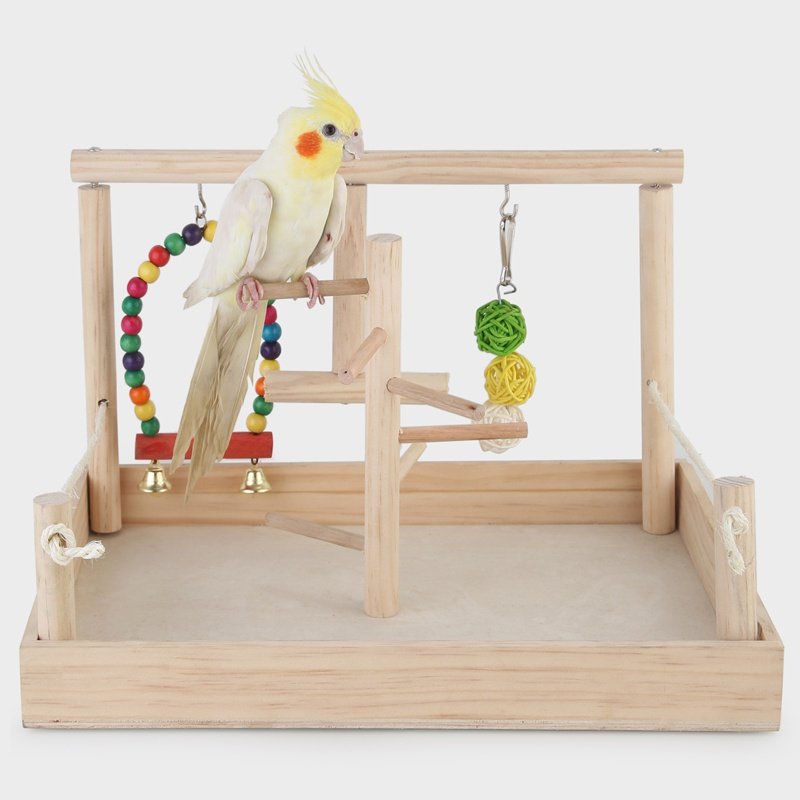 鹦鹉站架实木树枝落地桌面鸟笼站架用品用具脚环脚链小型鸟架子
