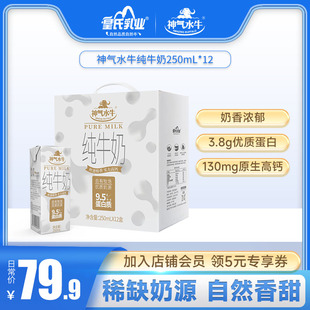 神气水牛纯牛奶250ML*12盒皇氏乳业纯牛奶儿童奶营养奶早餐奶整箱